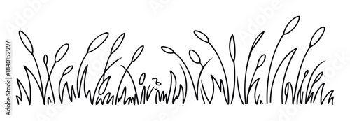 Black ink outline of wild grass and reeds swaying gently in the wind, perfect for nature themed websites, ecological projects and organic branding purposes