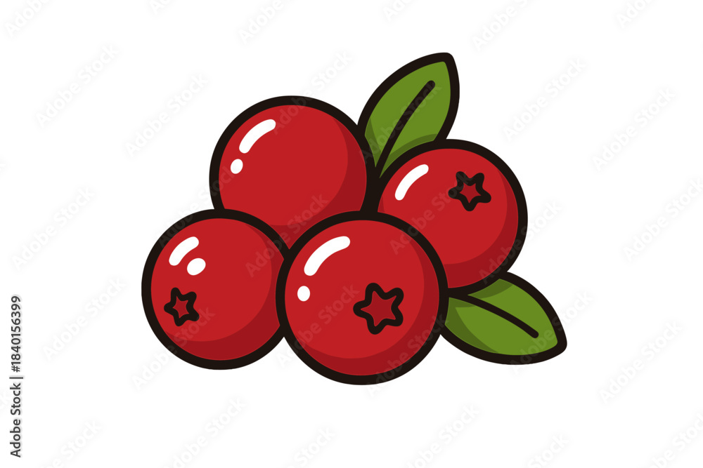 Obraz premium Bright red cranberry cluster with green leaves isolated on white