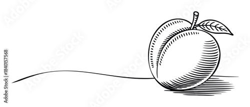 Stylized line drawing of a single plum with a leaf and stem, casting a shadow, perfect for food, health, or harvest themes.