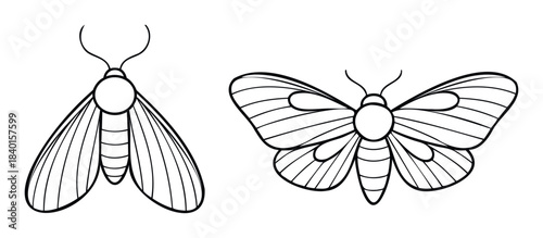 Two simple outline drawings of moths, one facing forward and one with wings spread, perfect for graphic design and entomology projects.