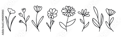 Delicate handdrawn floral line art collection featuring various blooming flowers and leaves, perfect for feminine branding, wedding invitations, and natural spring themes