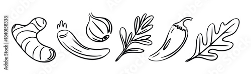 Simple line drawings of ginger root, chili pepper, onion, rosemary, and oak leaf, perfect for culinary websites, healthy food blogs, and recipe graphics.