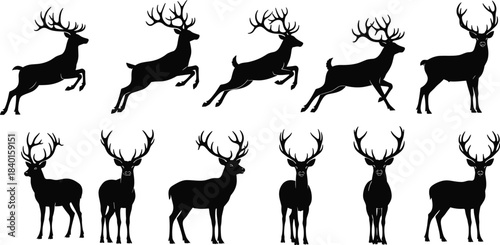 deer, antler, silhouette, wildlife, animal, vector, leaping, standing, motion, black, icon, nature, stag, pose, forest, deer silhouette, antler pose,