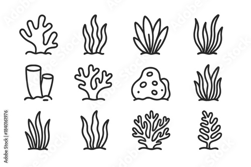 Simple outline set of various underwater marine plants, seaweed, kelp, and coral formations