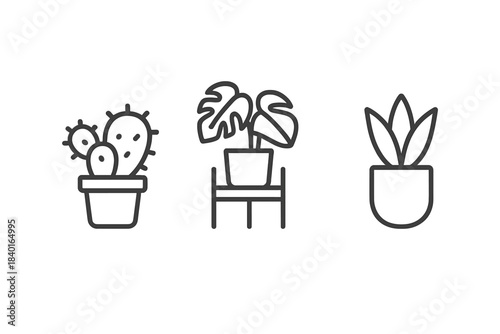 Minimalist potted houseplants including cactus, monstera, and succulent plants