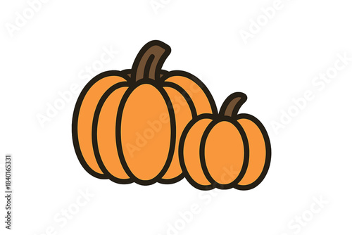 Two orange pumpkins with brown stems for autumn harvest and Halloween decoration