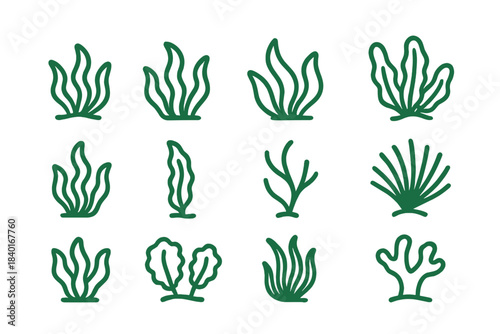 Stylized aquatic plants and seaweed icons set in green outline