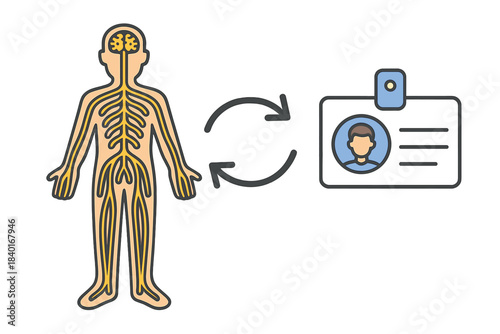 Human nervous system diagram connected to ID card icon symbolizing biometric data exchange