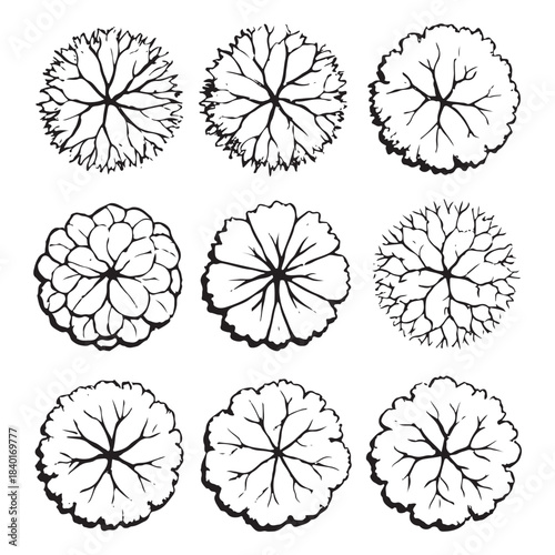 CAD Trees Top View Set – Landscape Design and Architectural Elements