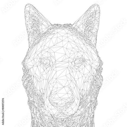 A detailed black and white wireframe of a wolf head, composed of intricate geometric shapes and lines, resembles a stylized wolf on a clean white background.
