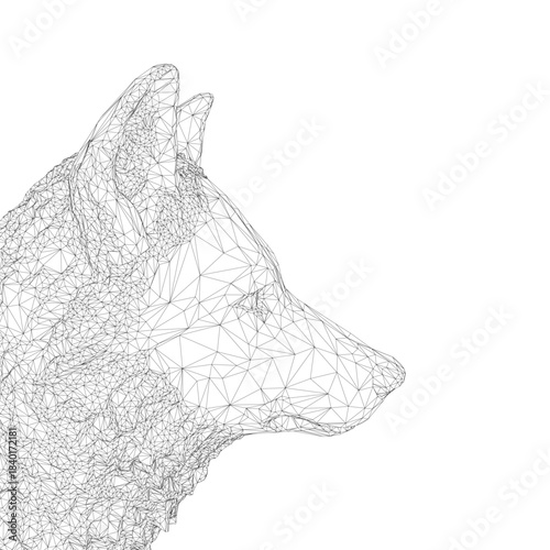A polygonal wireframe illustration of a wolf head, constructed from geometric triangles and lines against a clean white background. This stylized portrait evokes the sleek profile.