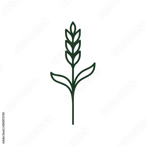 Minimalist Wheat Stalk Line Illustration