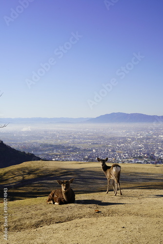 奈良 若草山頂から見た風景