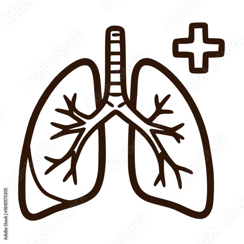 Human lungs respiratory organ medical illustration