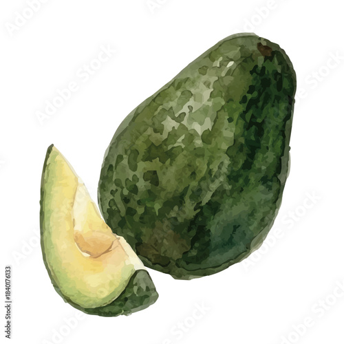 Watercolor-style avocado illustration／アボカド