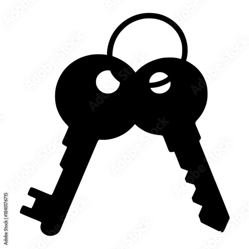 vector illustration of a key