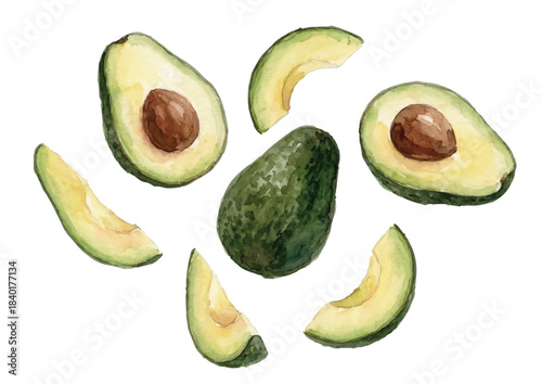 Watercolor-style avocado illustration／アボカド