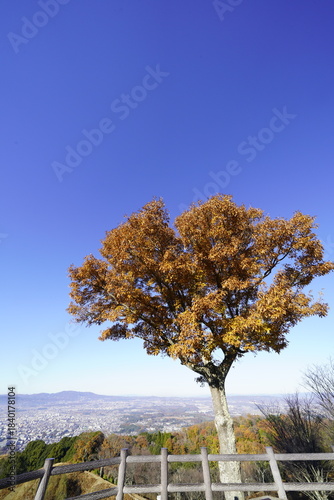奈良 若草山頂から見た風景