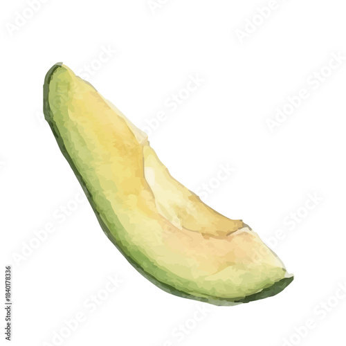 Watercolor-style avocado illustration／アボカド