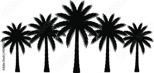 Silhouette of five palm trees against a white background