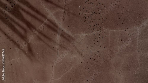 Shadow of palm leaf moving gently in wind on dark brown concrete wall, summer texture background, backdrop