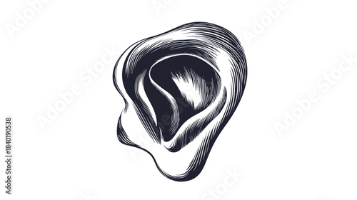 Detailed illustration of a human ear showcasing anatomy