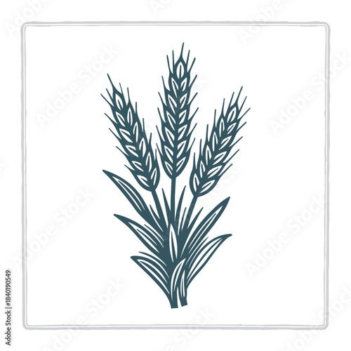 Vintage vector illustration of a wheat plant drawn in bold hand-crafted style. Ideal symbol for wheat, rye, barley, and oats themes. Perfect for bakery, farm, and organic branding. Part of set.