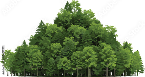 Dense green forest illustration with layered trees and rich foliage, representing nature, wilderness, ecology, environmental conservation, natural landscape, lush  