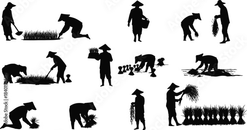 Rice farming silhouettes with traditional hats, agricultural labor poses, rural field work illustration for culture, education, and design useRice farming 