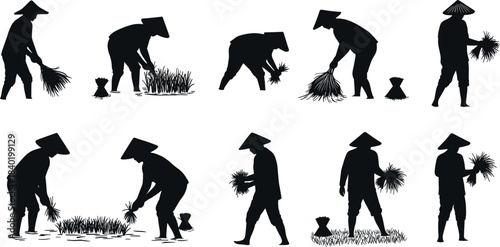 Rice planting silhouettes with traditional hats, agricultural labor poses, rural field work illustration for cultural education, farming design, and heritage
