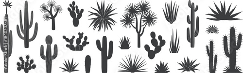 Black and white cactus and succulent illustration set featuring desert plants, silhouettes, agave, aloe, minimal botanical elements for nature design