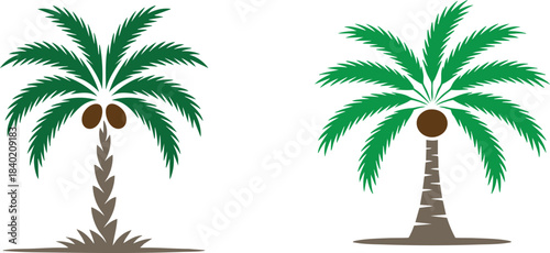 palm trees vector illustration