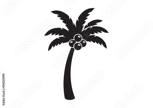 Coconut tree icon, Coconut tree Black silhouette vector