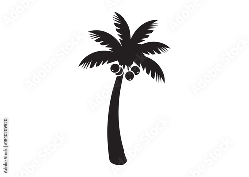 Coconut tree icon, Coconut tree Black silhouette vector
