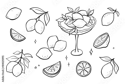 Outline illustration of lemons in vase with Mediterranean mood. Perfect for kitchen decor, packaging. Fruits sketch set