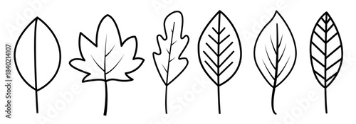 Minimalist hand-drawn leaf collection featuring multiple organic forms and linear vein details. Perfect for botanical themes, eco materials, educational projects