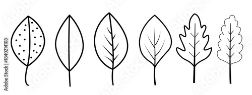 A set of hand-drawn leaf illustrations showcasing diverse botanical shapes with clean black-and-white line art. Ideal for nature themes, eco branding