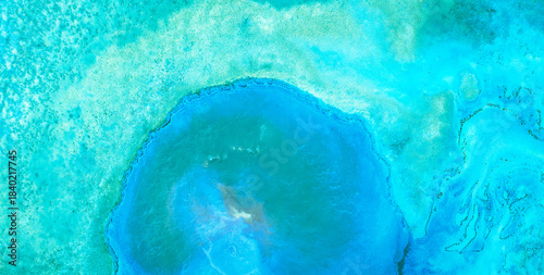 Exploring the Magic of Liquid Art in Oil Paint