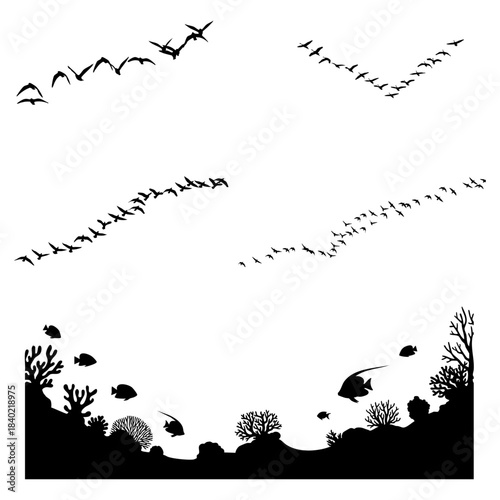 Flying Birds Flock Migration Coral Reef Fish Black Silhouette Vector Set