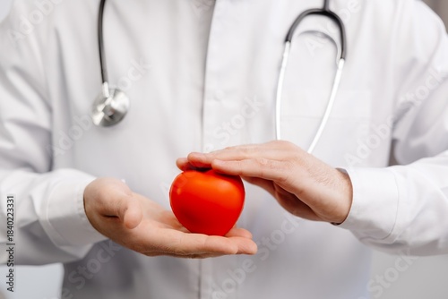 Doctor in white coat holding a red heart in hands close up. Medical health care and doctor staff service concept