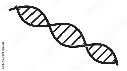 Simple hand drawn black and white illustration of a dna double helix structure