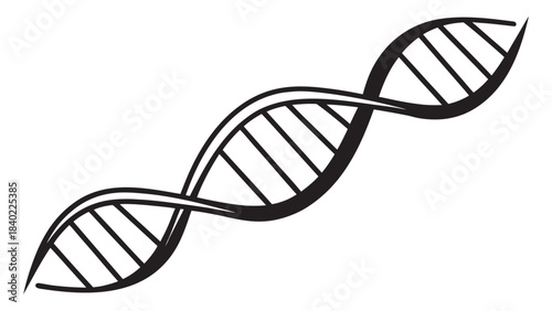 Stylized hand drawn double helix dna molecule illustration on white background