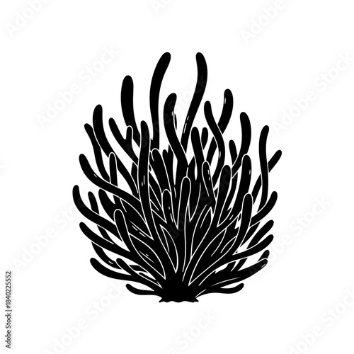 A black silhouette of a coral or seaweed plant, featuring numerous wavy, finger-like branches extending upwards from a central base.