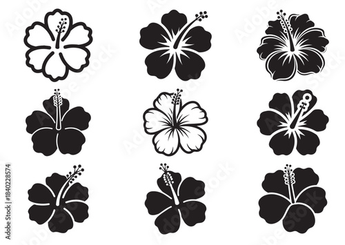 Set of Hibiscus flower icon, Hibiscus flower Black silhouette vector