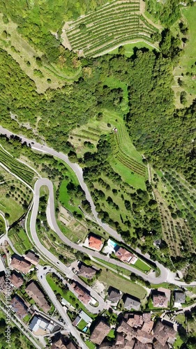 Drone top down shot of grape fields and winding roads in Italy. 