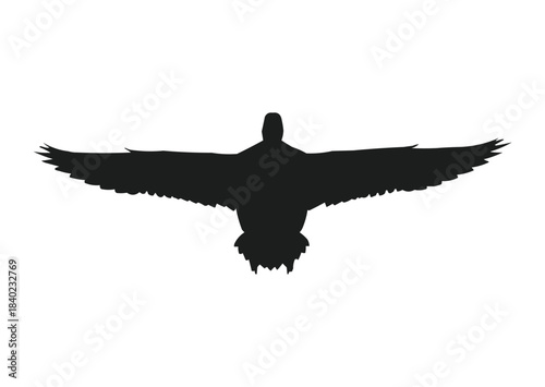 flying duck silhouette, front view flying duck vector illustration