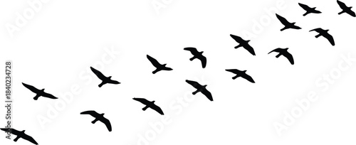 Cute Kawaii Vector Character Set, Featuring a Bear with a Pencil, Water Droplet, Spiky Monster, Rabbit Reading a Book, and Black Cat in a Radioactive Box, Ideal for Fun Education and Science Graphics