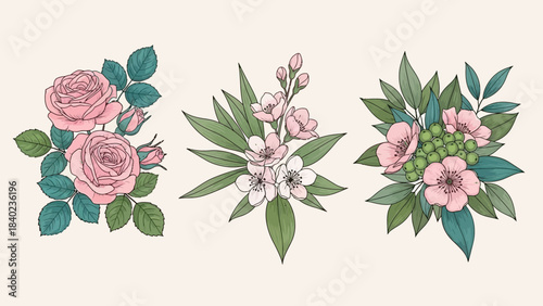 Three elegant hand-drawn floral arrangements featuring pink roses, delicate blossoms, and green foliage, perfect for design elements.