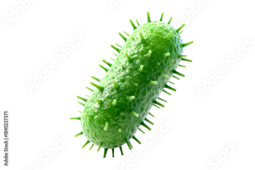 Green bacterium illustration showing cellular structure and spikes