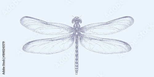 Print of a dragonfly on a blue background with fine grain texture, scattered dust speckles and light stains on aged paper.